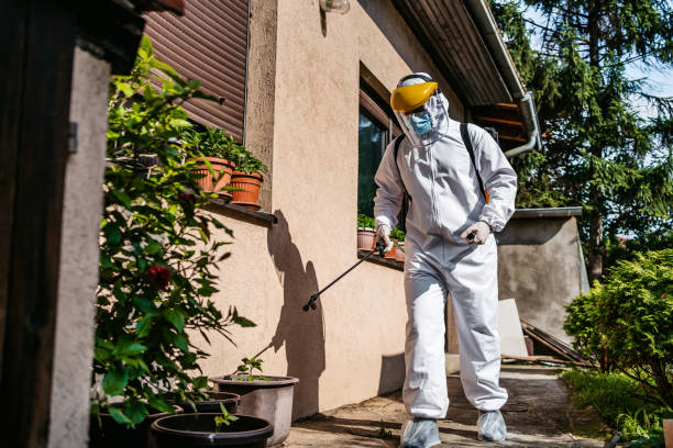 Trusted North Mankato, MN Pest Control Experts