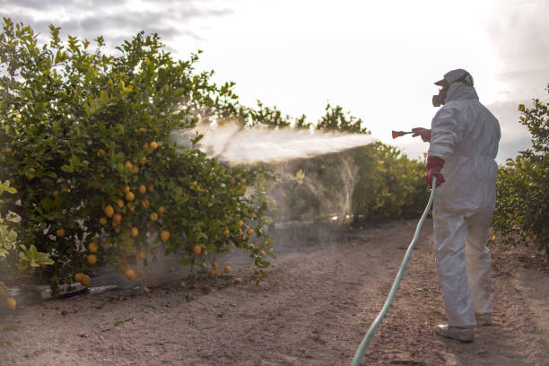 Best Emergency Pest Control  in North Mankato, MN