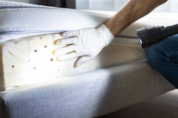 Best Best Pest Control Companies  in North Mankato, MN