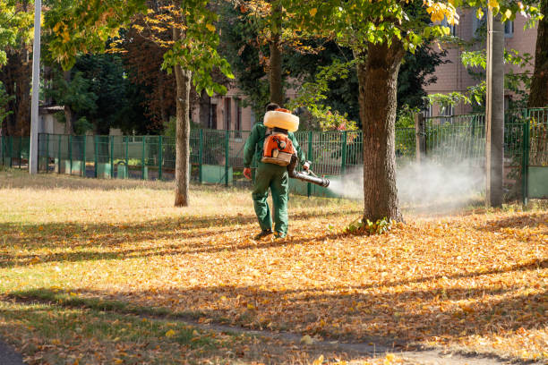 Best Best Pest Control Companies  in North Mankato, MN