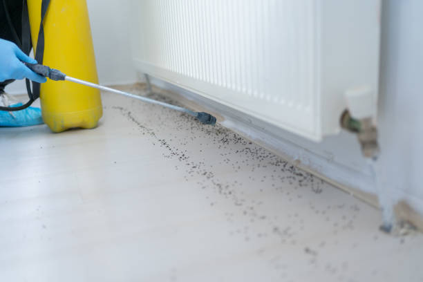 Best Pest Removal Services  in North Mankato, MN