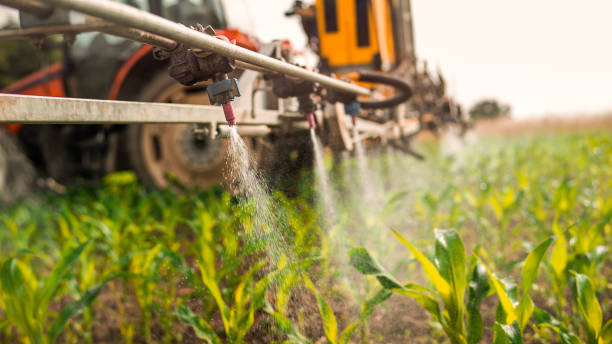 Best Wildlife Control Services  in North Mankato, MN